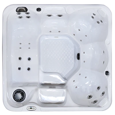 Hawaiian PZ-636L hot tubs for sale in Johns Creek